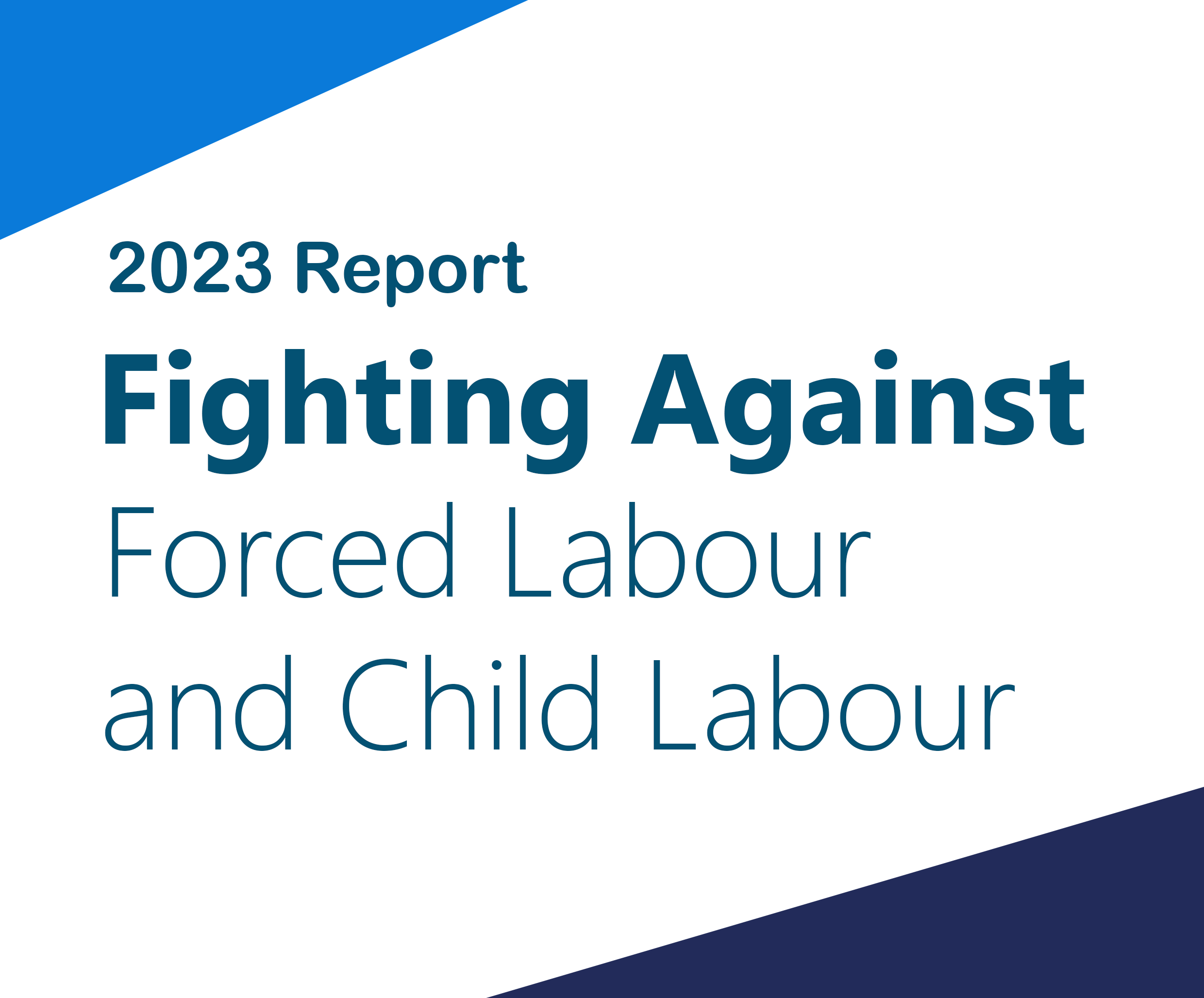 Fighting Against Forced Labour and Child Labour in Supply Chains Act