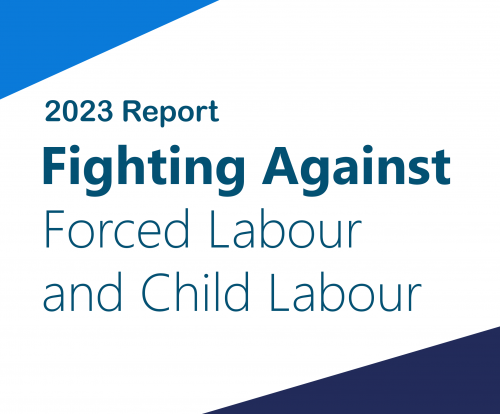 Fighting Against Forced Labour And Child Labour In Supply Chains Act